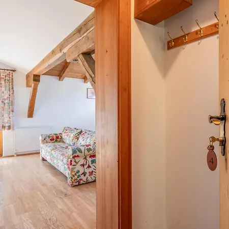 Apartment Brixnerwirt Iv